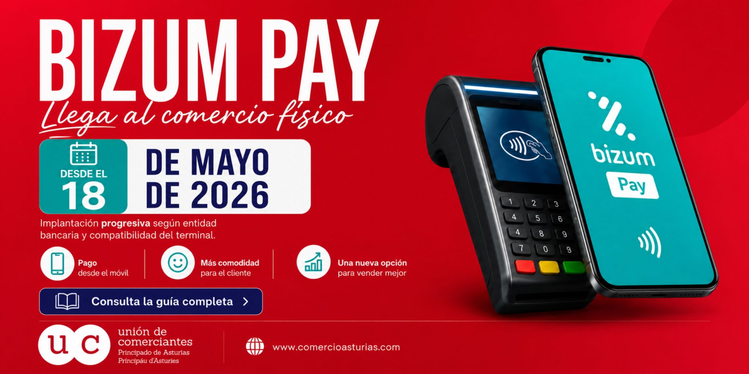 Bizum Pay
